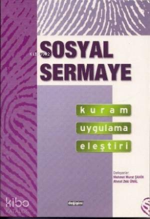 Sosyal Sermaye; Kuram Uygulama Eleştiri