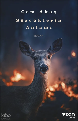 Sözcüklerin Anlamı | Cem Akaş | Can Yayınları