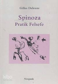 Spinoza; Pratik Felsefe