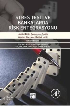 Stres Testi ve Bankalarda Risk Entegrasyonu İstatistiki Bir Çevre ve Pratik Yazılım Kılavuzu (Matlab ve R)