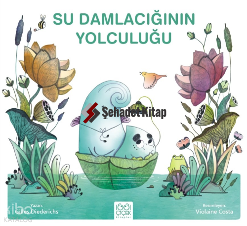 Su Damlacığının Yolculuğu