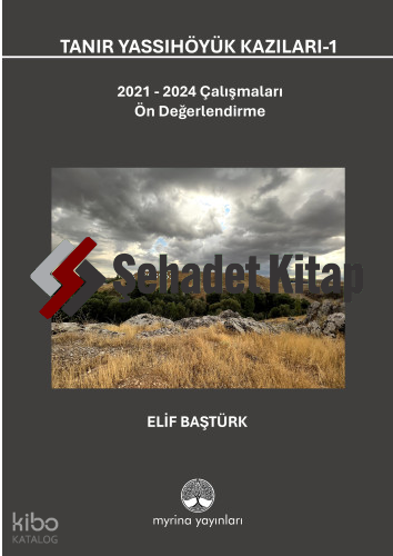 Tanır Yassıhöyük Kazıları-1 (Ciltli);2021-2024 Çalışmaları Ön Değerlendirme