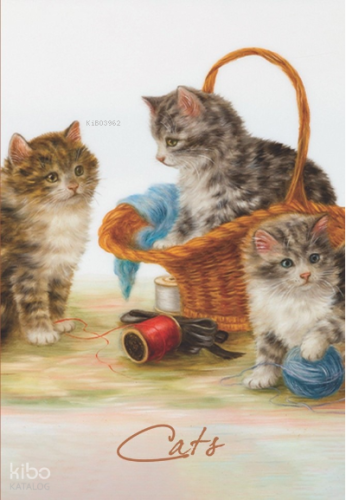 Tekir Çizgili Defter