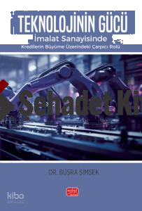 Teknolojinin Gücü;İmalat Sanayisinde Kredilerin Büyüme Üzerindeki Çarpıcı Rolü