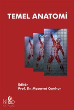 Temel Anatomi