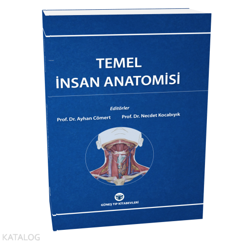 Temel İnsan Anatomisi
