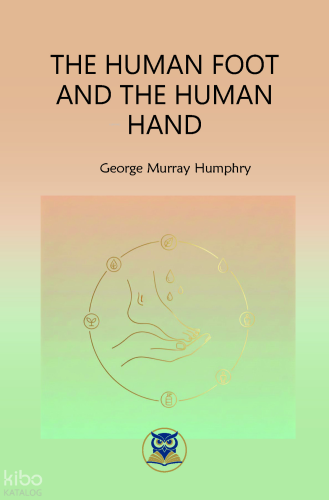 The Human Foot and The Human Hand