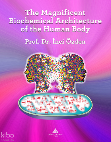 The Magnificent Biochemical Architecture of the Human Body