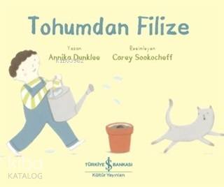Tohumdan Filize