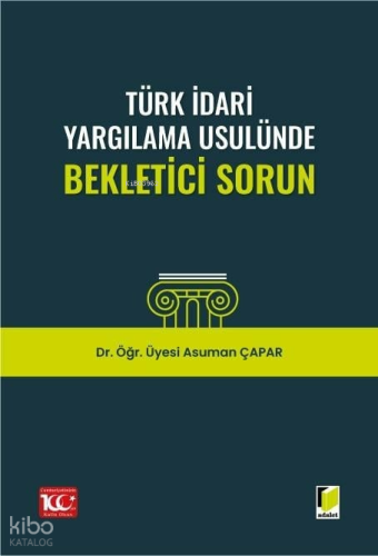 Türk İdari Yargılama Usulünde Bekletici Sorun
