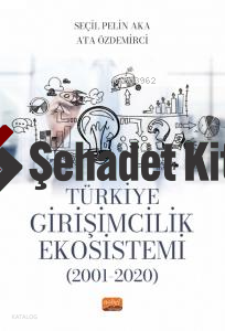 Türkiye Girişimcilik Ekosistemi (2001-2020)