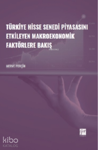 Türkiye Hisse Senedi Piyasasını Etkileyen Makroekonomik Faktörlere Bakış