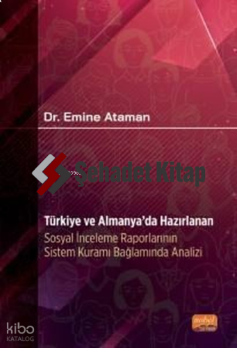 Türkiye ve Almanya'da Hazırlanan Sosyal İnceleme Raporlarının Sistem Kuramı Bağlamında Analizi