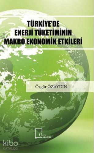 Türkiye'de Enerji Tüketiminin Makro Ekonomik Etkileri