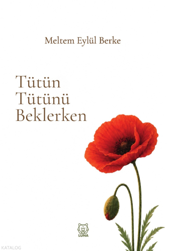 Tütün Tütünü Beklerken | Meltem Eylül Berke | Luna Yayınları