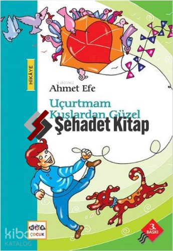 Uçurtmam Kuşlardan Güzel | Ahmet Efe | Nar Yayınları