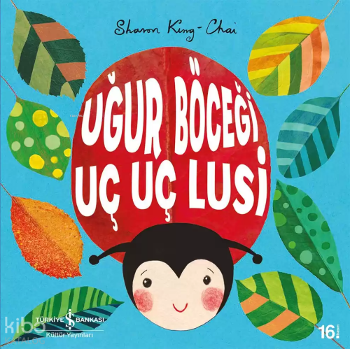 Uğur Böceği Uç Uç Lusi