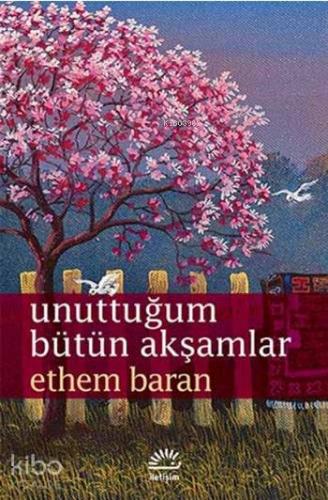 Unuttuğum Bütün Akşamlar