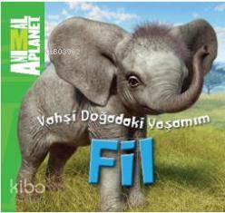 Vahşi Doğadaki Yaşamım - Fil