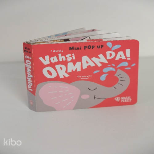 Vahşi Ormanda | Merve Sarıhan | Masalperest