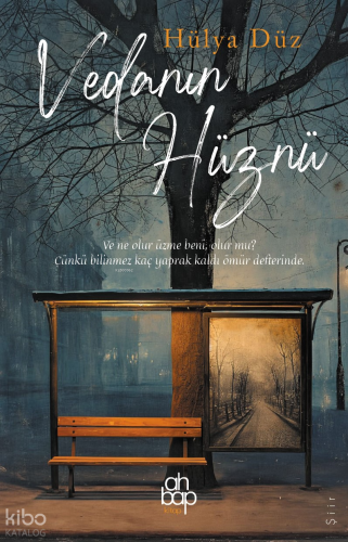 Vedanın Hüznü | Hülya Düz | Ahbap Kitap