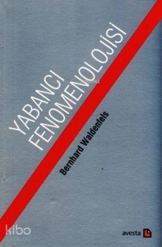 Yabancı Fenomenolojisi