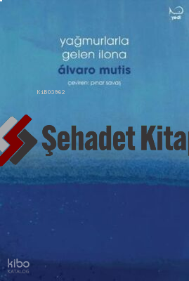 Yağmurlarla Gelen İlona