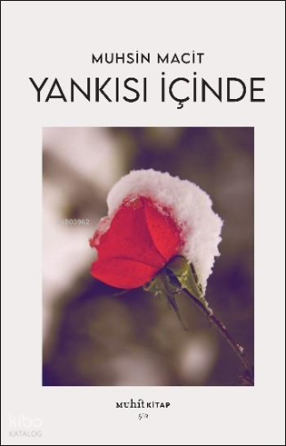 Yankısı İçinde