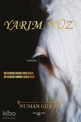 Yarım Yüz