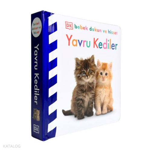 Yavru Kediler - DK Bebek Dokun ve Hisset