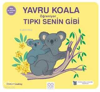 Yavru Koala Öğreniyor Tıpkı Senin Gibi | Kolektif | 1001 Çiçek Kitapla