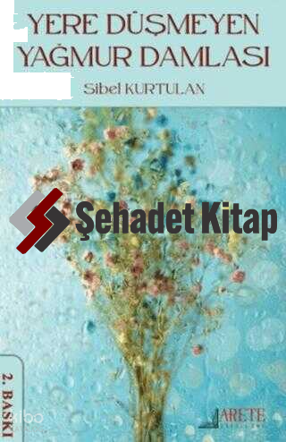 Yere Düşmeyen Yağmur Damlası