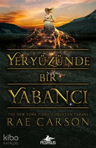 Yeryüzünde Bir Yabancı