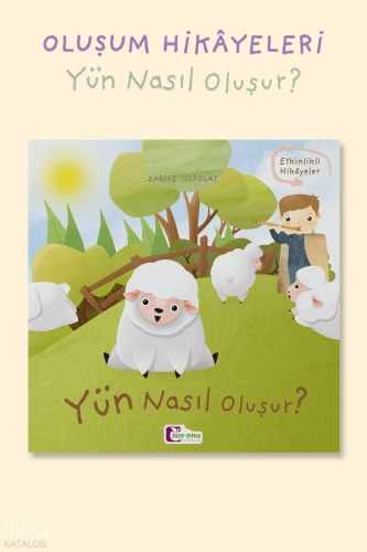 Yün Nasıl Oluşur?