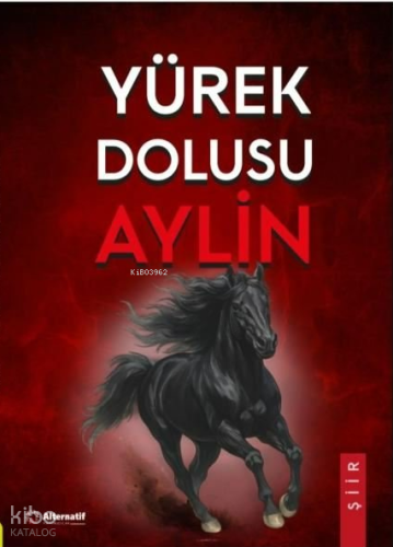 Yürek Dolusu Aylin | Aylin Erdemer | Alternatif Yayıncılık