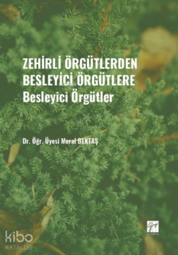 Zehirli Örgütlerden Besleyici Örgütlere - Besleyici Örgütler