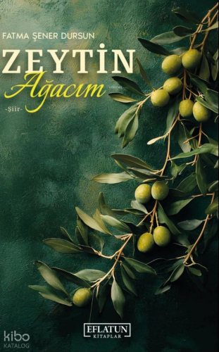 Zeytin Ağacım
